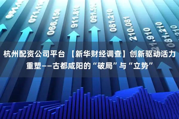 杭州配资公司平台 【新华财经调查】创新驱动活力重塑——古都咸阳的“破局”与“立势”