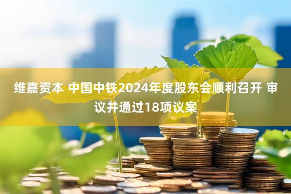 维嘉资本 中国中铁2024年度股东会顺利召开 审议并通过18项议案